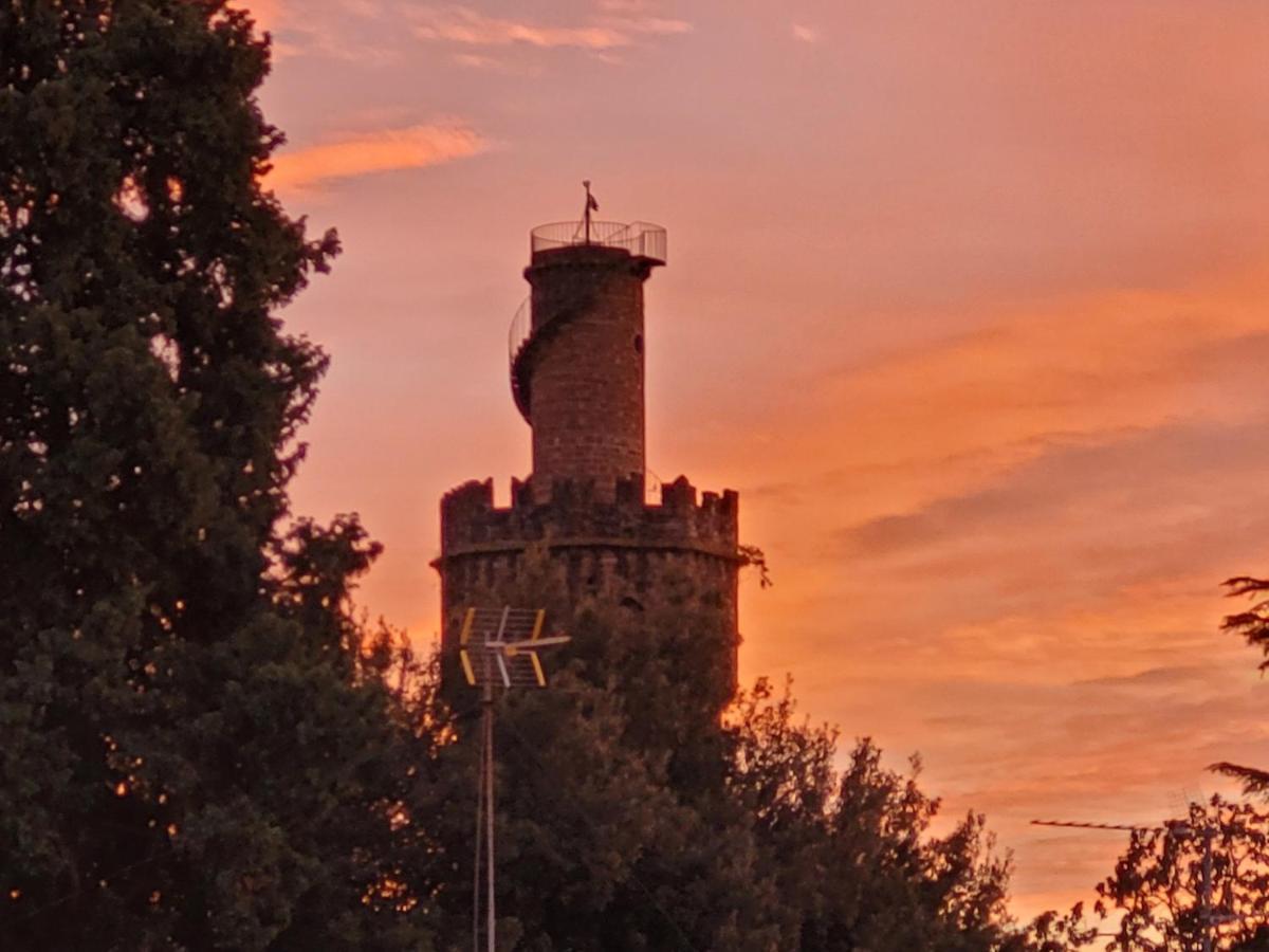 Vista Su Giardini Storici In Oltrarno Apartment Firenze Bagian luar foto