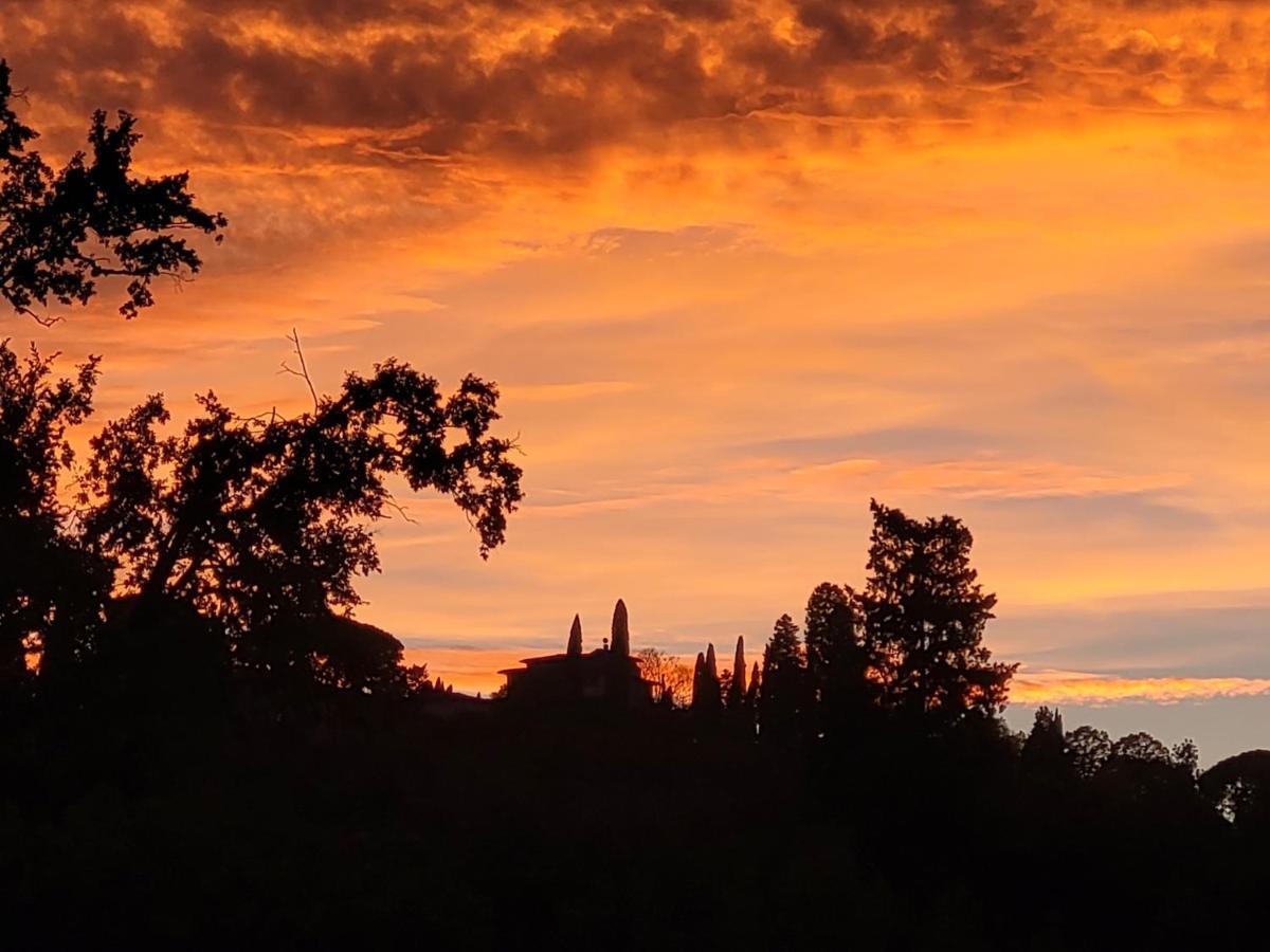 Vista Su Giardini Storici In Oltrarno Apartment Firenze Bagian luar foto